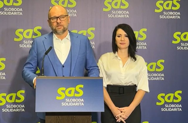 41830 snimka obrazovky 2024 04 11 174651 640x420.jpg SaS je proti kvótam a pokutám za neprijatie ilegálnych migrantov, Sulík to vníma ako pozvánku pre prevádzačov (video)