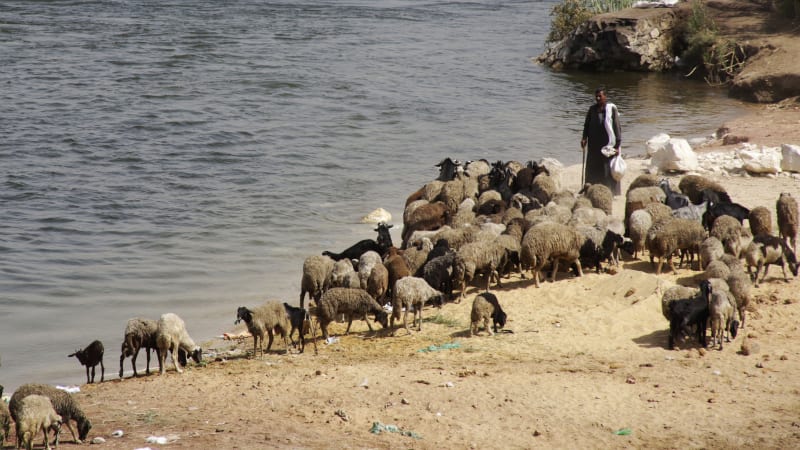 Masakr při střetu pastevců a farmářů v Nigérii. Zemřely desítky lidí, někteří přišli o hlavu