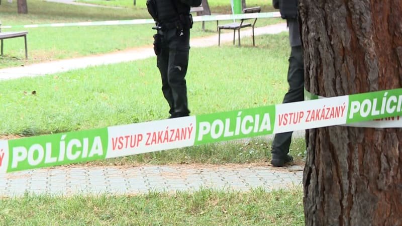 Školáci měli okrádat vrstevníky a vyhrožovat jim smrtí. i přes nízký věk čelí hrozbě vězení Školáci měli okrádat vrstevníky a vyhrožovat jim smrtí. I přes nízký věk čelí hrozbě vězení