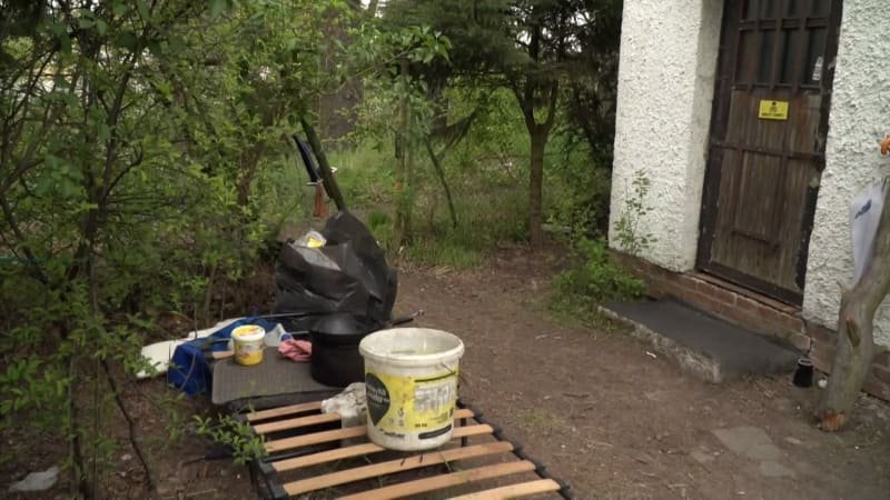Zmanipulovali mě, tvrdí matka „vlčích dětí“ z Hluboké. Potomky chce zpět, má prý byt i práci Zmanipulovali mě, tvrdí matka „vlčích dětí“ z Hluboké. Potomky chce zpět, má prý byt i práci