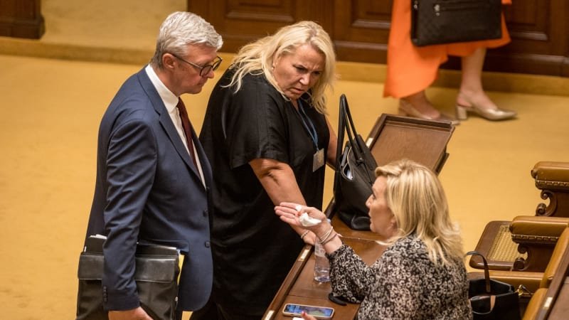 Špatná akustika, podraz či zdvořilost. ANO vysvětluje svůj postoj k důchodové reformě různě