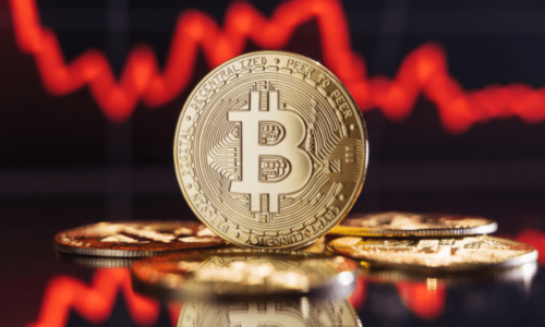 Známa postava kryptokomunity tvrdí, že Bitcoin po halvingu poklesne