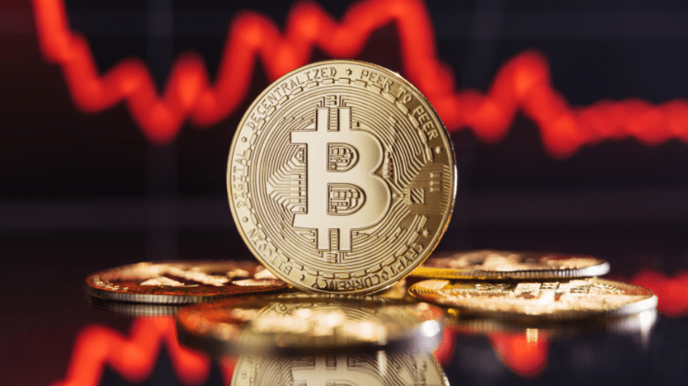 známa postava kryptokomunity tvrdí, že bitcoin po halvingu poklesne Známa postava kryptokomunity tvrdí, že Bitcoin po halvingu poklesne