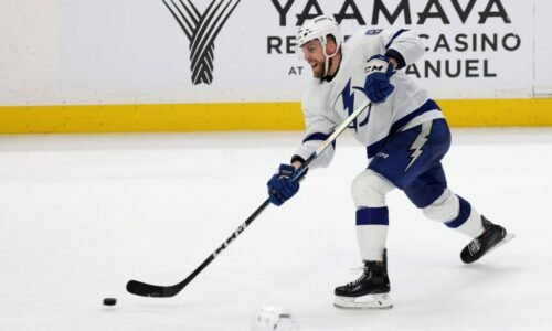 Slováci v NHL Erik Černák si vstúpil do svedomia a ospravedlnil sa. V zápase z neho išiel strach
