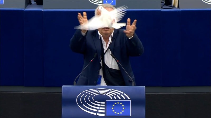 holubice „míru“ v evropském parlamentu. slovenský politik přímo na plénu vypustil opeřence Holubice „míru“ v Evropském parlamentu. Slovenský politik přímo na plénu vypustil opeřence