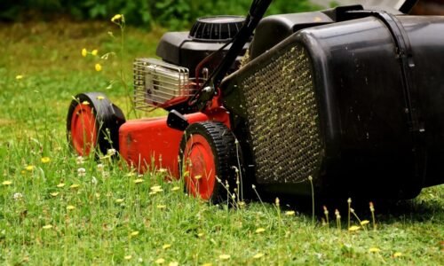 Pokosenú trávu dajte do tmavého vreca na dva dni. Ušetrí vám to peniaze v záhrade