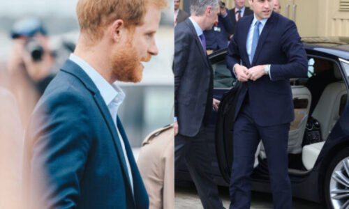 Princ William a princ Harry sa kvôli Meghan nezmieria?! „Nechce navštíviť Spojené kráľovstvo.“