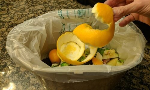 Pre niekoho zbytočné plytvanie časom, pre mňa oranžové zlato. Neuveríte, na čo všetko sa dá použiť