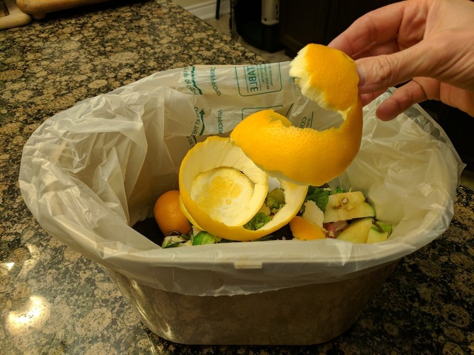 pre niekoho zbytočné plytvanie časom, pre mňa oranžové zlato. neuveríte, na čo všetko sa dá použiť Pre niekoho zbytočné plytvanie časom, pre mňa oranžové zlato. Neuveríte, na čo všetko sa dá použiť