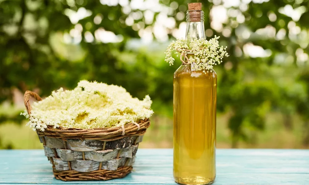 Bazový sirup – pripravte si sirup z voňavých kvietkov