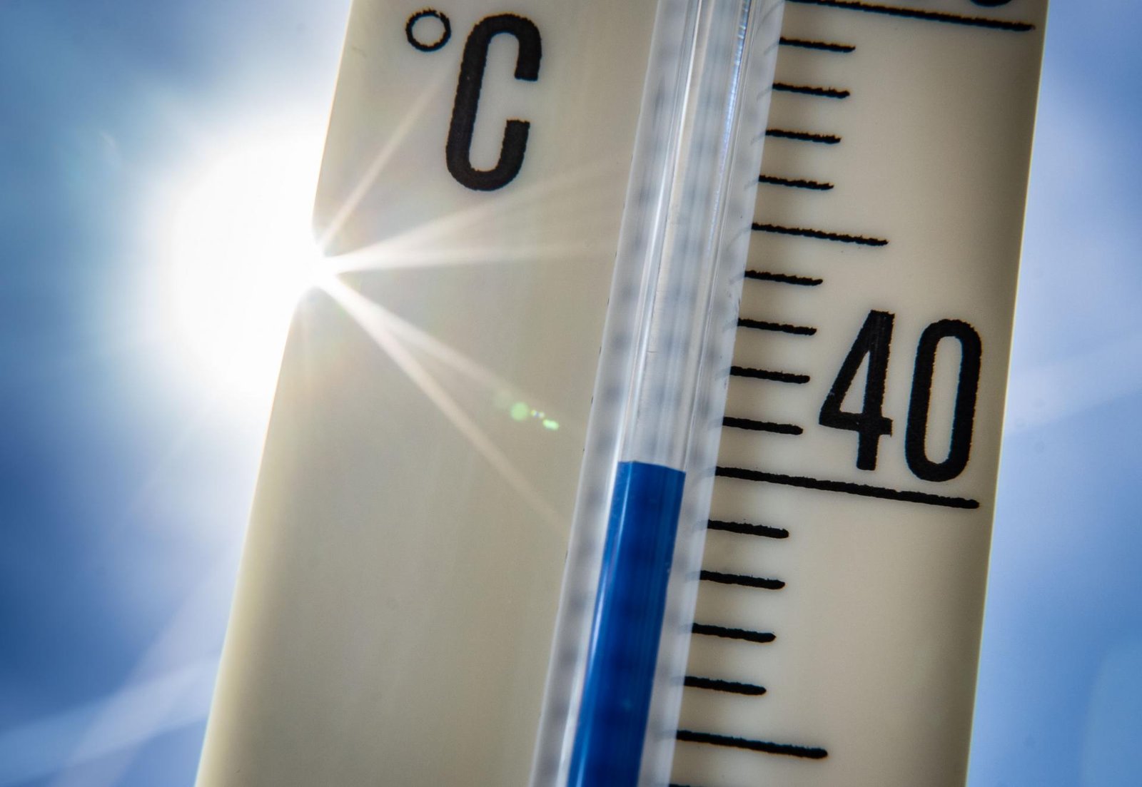 V indickom Dillí namerali rekordných 49,9 stupňa. Úrady varujú pred nedostatkom vody, zatvárajú školy V indickom Dillí namerali rekordných 49,9 stupňa. Úrady varujú pred nedostatkom vody, zatvárajú školy