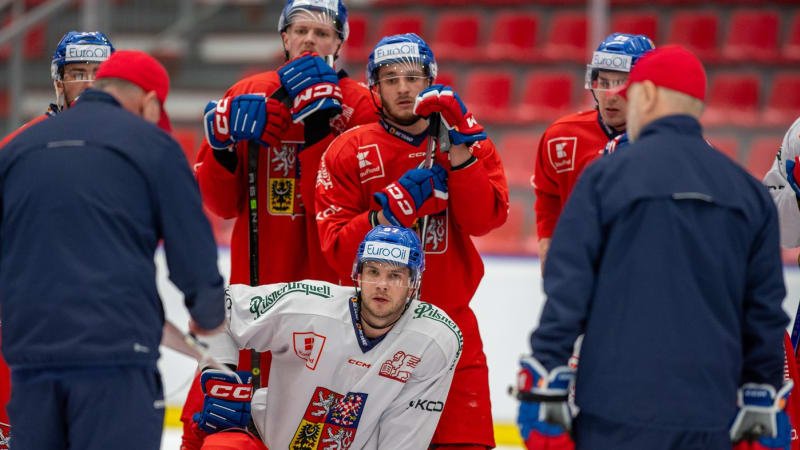 PŘEHLEDNĚ: Posily z NHL i evropské hvězdy. Vše o českém týmu na MS v hokeji PŘEHLEDNĚ: Posily z NHL i evropské hvězdy. Vše o českém týmu na MS v hokeji