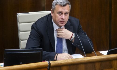 Národniari chcú meniť infozákon. Právnik návrh kritizuje, podľa Michelka sa to dopracuje neskôr