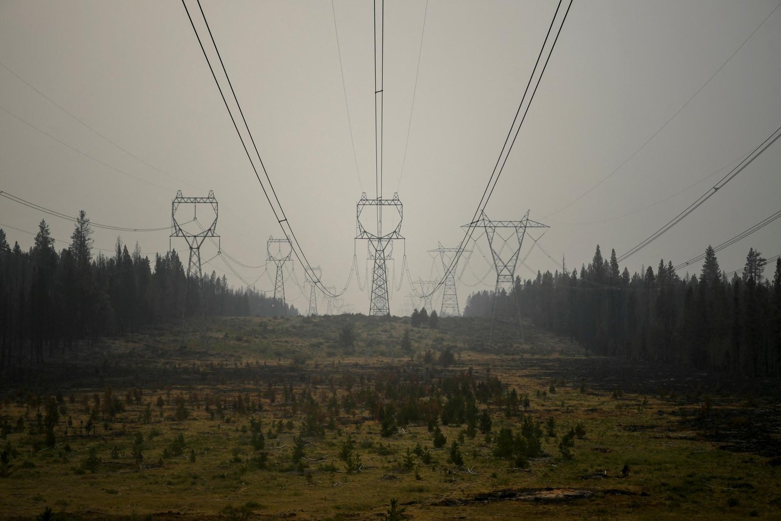 Ceny energií v minulom týždni opäť vzrástli. Blížia sa k tohtoročným maximám Ceny energií v minulom týždni opäť vzrástli. Blížia sa k tohtoročným maximám