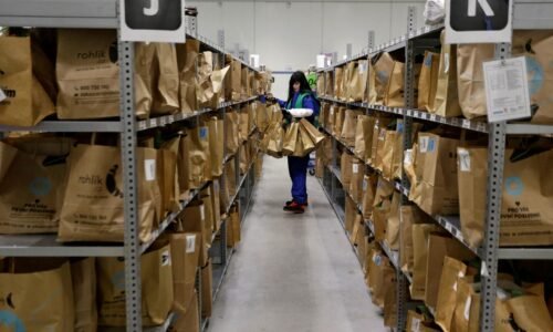 Český online predajca potravín Rohlík expanduje v Nemecku, konkurenti trh opúšťajú