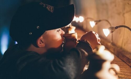 Mnohé kultúrne inštitúcie dnes otvoria svoje brány po celom Slovensku a od súmraku do polnoci sa zapoja do Európskej noci múzeí a galérií