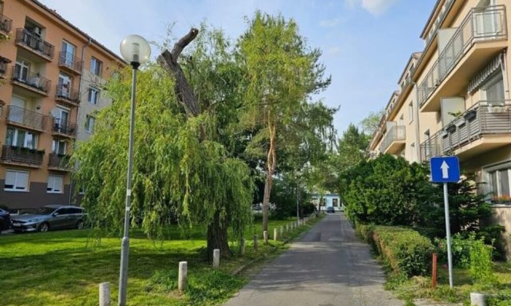 Policajti riešili kuriózny prípad, muž sa namiesto výkonu trestu odňatia slobody vlámal do auta a tam zaspal