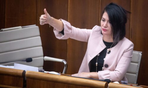 Bittó Cigániková upriamila pozornosť na program SaS v eurovoľbách, zahŕňa napríklad zachovanie práva veta (video)