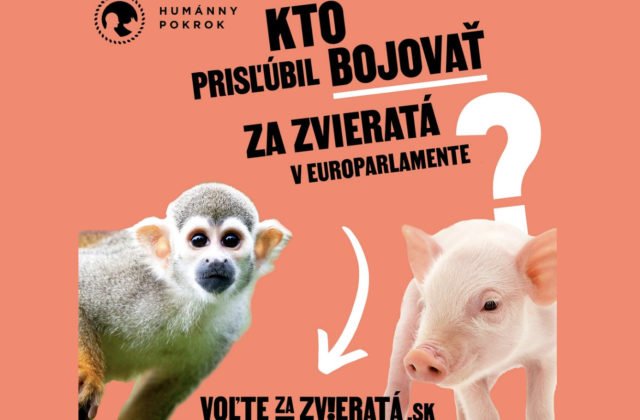 88386_sni-mka-obrazovky-2024-05-27-o-16.48.38-640x420.jpg Organizácie vyzvali kandidátov do eurovolieb, aby prijali záväzok pre lepšiu ochranu zvierat. Zatiaľ sa pripojilo 46 z nich