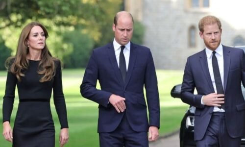 Vztah britských princů je nenávratně zničen, míní expertka. Harryho trable má za triviální