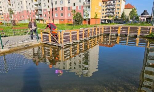 Vyčistené JAZIERKO v Humennom peknou EKOČASŤOU SÍDLISKA