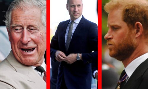 Kráľ Karol III zasiahol princa Harryho a princ William si môže spokojne mädliť ruky