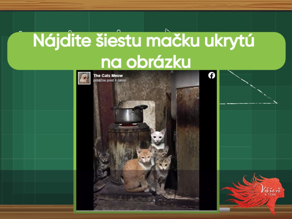 Vidíte päť mačiek? A je ich šesť. Nájdite chýbajúcu za menej ako 10 sekúnd. „Dobrá kamufláž“