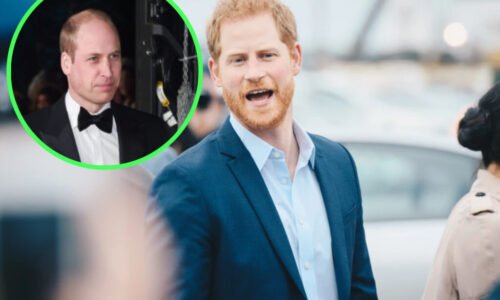 Princ Harry brutálne vynechaný. Princ William je opäť v popredí. Zavládla žiarlivosť