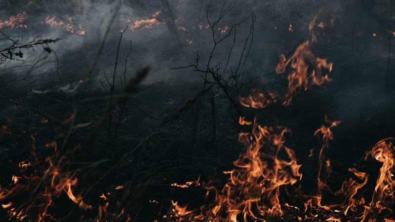 Na Mladoboleslavsku hoří les. Hašení komplikuje těžký terén, zasahuje vrtulník Na Mladoboleslavsku hoří les. Hašení komplikuje těžký terén, zasahuje vrtulník