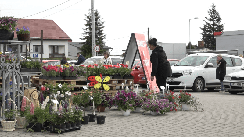 Nejlepší je neplatit DPH v Česku, říká nakupující za hranicemi. Co se v Polsku vyplatí nejvíc? Nejlepší je neplatit DPH v Česku, říká nakupující za hranicemi. Co se v Polsku vyplatí nejvíc?