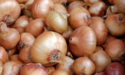 Vyrobte si ľahko hnojivo z cibuľových šupiek a vaše uhorkové sadenice ožijú