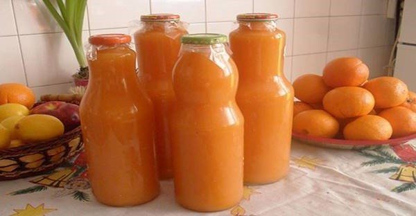 Vitamínový domáci Kubík bez ďalšieho pridaného cukru plný vitamínov! Deti si ho zamilovali a pijú ho vlastne už celý rok! Vitamínový domáci Kubík bez ďalšieho pridaného cukru plný vitamínov! Deti si ho zamilovali a pijú ho vlastne už celý rok!