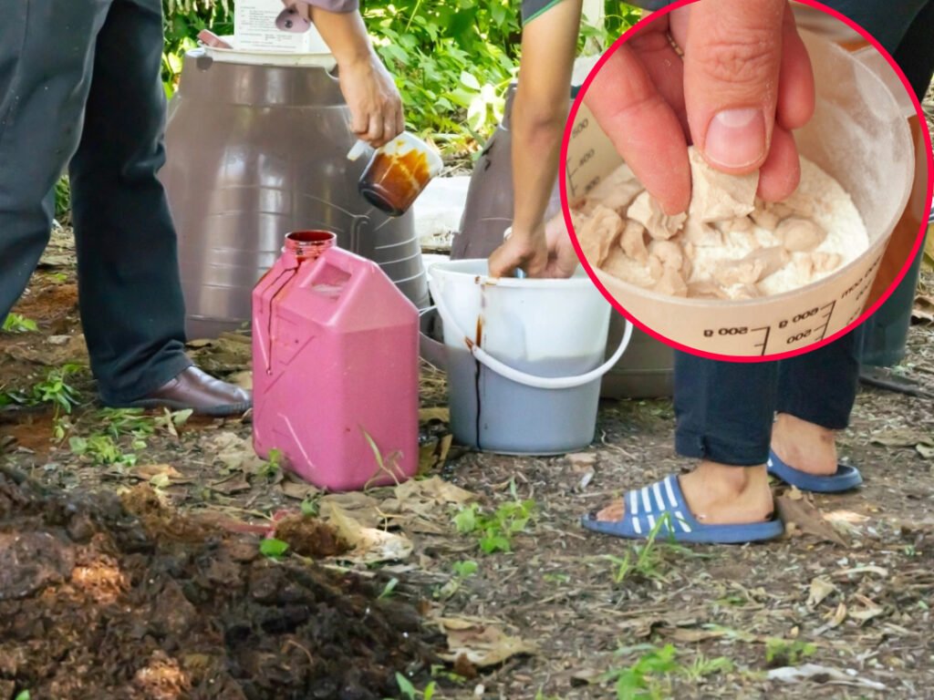 Ako vyrobiť hnojivo z droždia? Stojí to len 0,40 EUR. Úroda bude nádherne bohatá a rastliny zdravé Ako vyrobiť hnojivo z droždia? Stojí to len 0,40 EUR. Úroda bude nádherne bohatá a rastliny zdravé