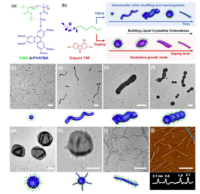 Lékařka objevila nanotechnologii v krvi neočkovaného, který byl vystaven vysokému vylučování (obrázky, video) Lékařka objevila nanotechnologii v krvi neočkovaného, který byl vystaven vysokému vylučování (obrázky, video)