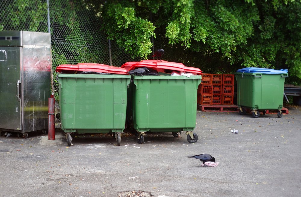 Kam vyhodiť rozbité zrkadlá, žiarovky a tuby zubnej pasty? Je to zložité. Odpoveď prekvapí Kam vyhodiť rozbité zrkadlá, žiarovky a tuby zubnej pasty? Je to zložité. Odpoveď prekvapí