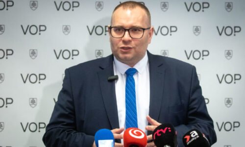 Monitoring nezistil porušenia práv a slobôd počas ME vo futbale, Dobrovodský postup polície hodnotí ako príkladný
