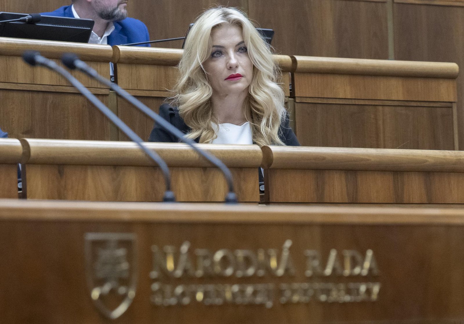 Šimkovičová: Novela zákona o Fonde na podporu umenia prinesie spravodlivejšie hodnotenie projektov Šimkovičová: Novela zákona o Fonde na podporu umenia prinesie spravodlivejšie hodnotenie projektov