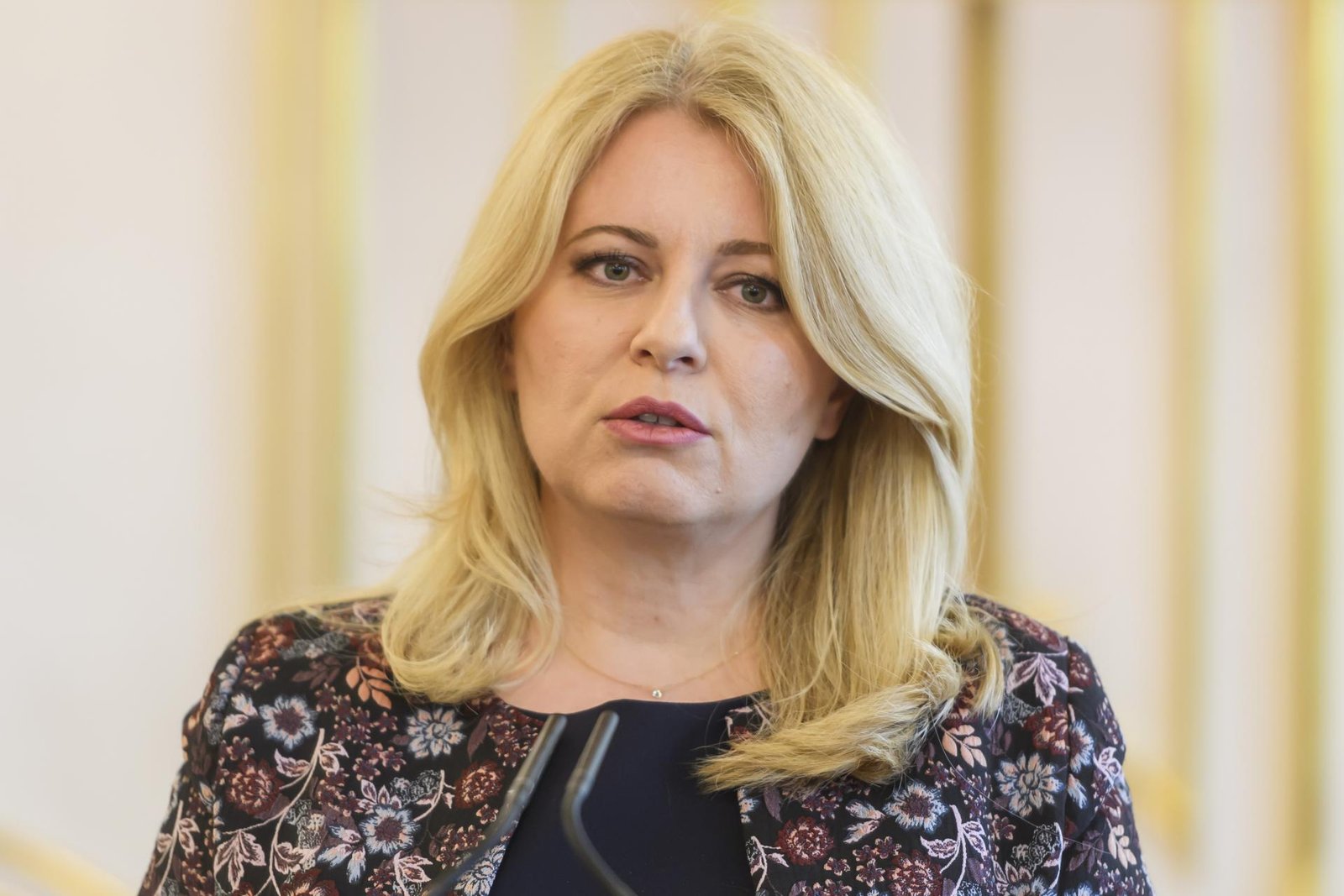 Čaputová vetovala legislatívu o zjednodušení postupu pri výrube drevín Čaputová vetovala legislatívu o zjednodušení postupu pri výrube drevín