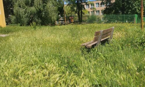PROGRESÍVNE LÚKY NA NAŠICH SÍDLISKÁCH

Sú nezávislí. Sú pokrokoví. Sú to moderní členovia mestských zastupiteľstiev (hlavne len nie z nejakej strašidelnej p…