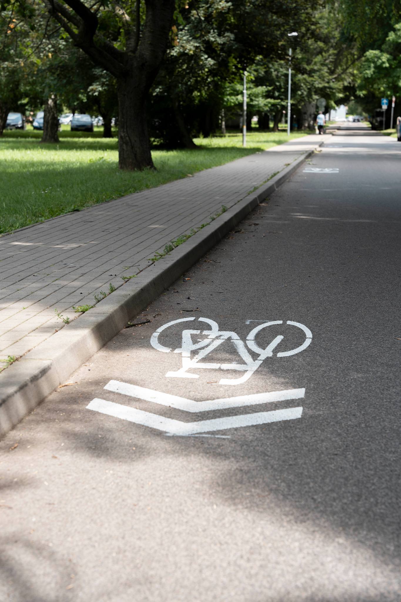 448642119_875067521327466_9018869798577475954_n.jpg Nitra : JEDNOSMERKOU NA Ľ. OKÁNIKA PREJDU CYKLISTI UŽ V OBOCH SMEROCH
Po starom tadiaľto prešli cyklisti iba smerom k atletickému štadiónu. Po novom je tu povole…