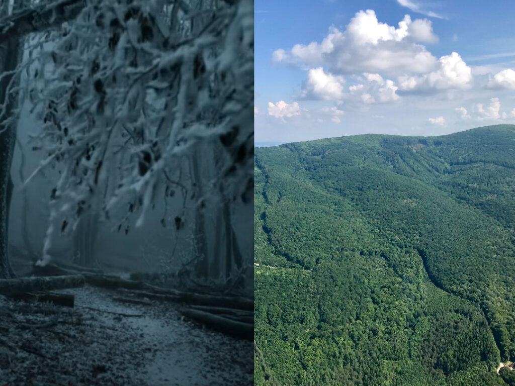 Slovenský „Bermudský trojuholník“. Hovorí sa, že v tomto lese miznú ľudia