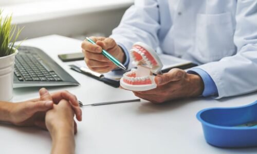 Lék na dorůstání zubů už za pár let, mají jasno vědci. Chtějí ho testovat na lidech