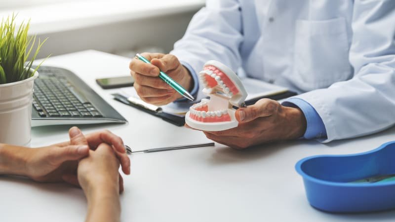 Lék na dorůstání zubů už za pár let, mají jasno vědci. Chtějí ho testovat na lidech Lék na dorůstání zubů už za pár let, mají jasno vědci. Chtějí ho testovat na lidech
