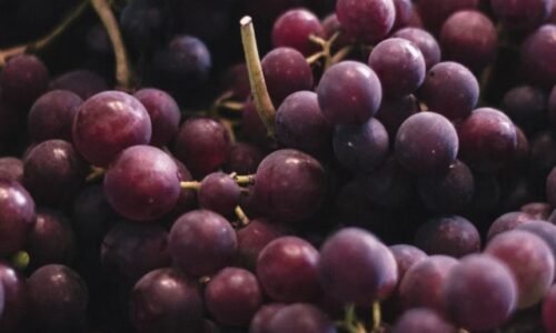 Len máloktorá gazdinka pozná tento skvelý recept na HROZNOVÝ KOMPÓT! Vydrží vlastne kľudne aj celý rok!