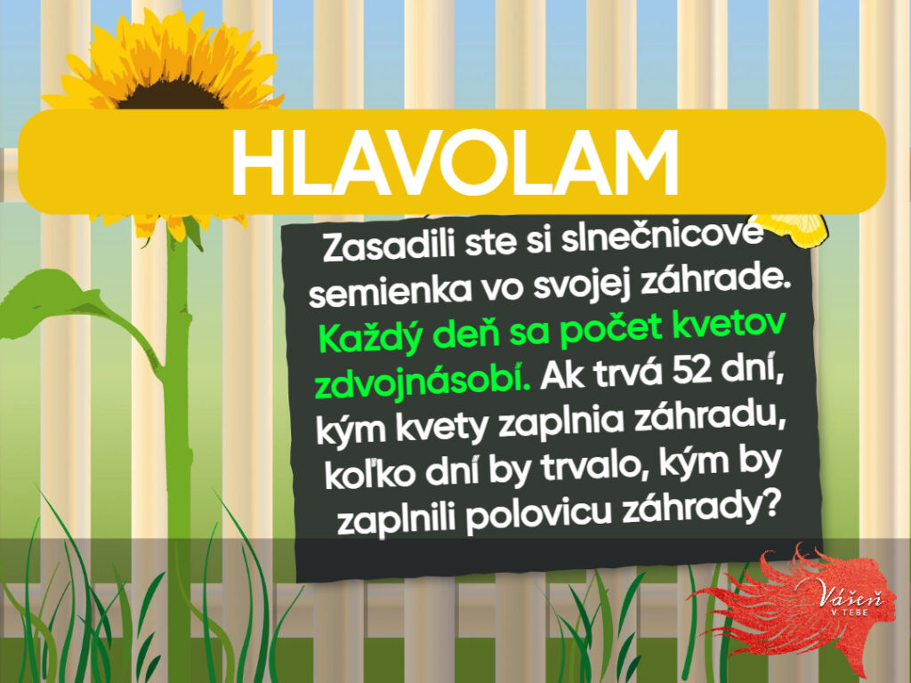 Hlavolam: Myslíte si, že na to máte? Skúste vyriešiť túto mätúcu hádanku