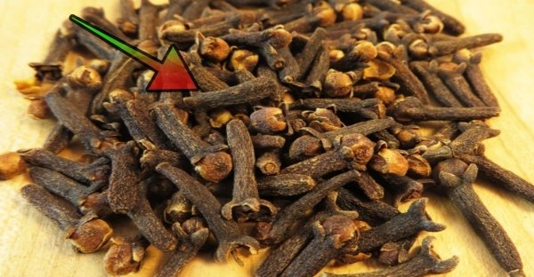 Toto je ten dôvod, prečo som začala každý deň žuť klinčeky. Za túto skvelú radu musím mamičkinmu lekárnikovi ešte poďakovať Toto je ten dôvod, prečo som začala každý deň žuť klinčeky. Za túto skvelú radu musím mamičkinmu lekárnikovi ešte poďakovať
