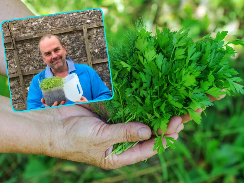 Záhradkár prezradil, ako si doma rýchlo vypestovať bylinky. „Je to ako mini skleník.“ Záhradkár prezradil, ako si doma rýchlo vypestovať bylinky. „Je to ako mini skleník.“