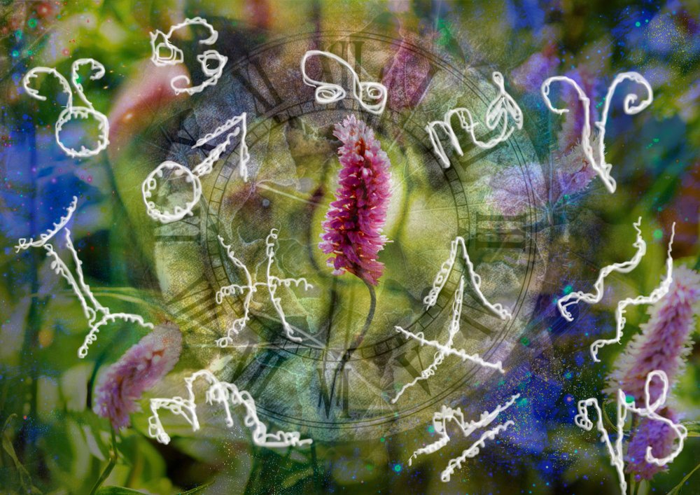 Denný horoskop na štvrtok – 13. júna Denný horoskop na štvrtok – 13. júna