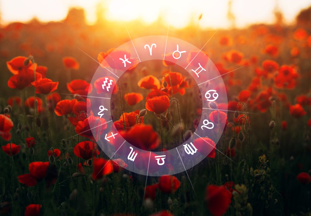 Denný horoskop na piatok – 14. júna Denný horoskop na piatok – 14. júna