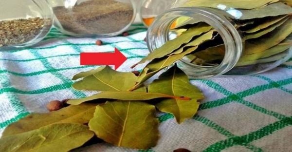 Toto je babičkin recept, ktorý má skutočne až hodnotu zlata: Vždy, keď začnem kašľať a mám hlieny, pripravím si TOTO a mám pokoj! Toto je babičkin recept, ktorý má skutočne až hodnotu zlata: Vždy, keď začnem kašľať a mám hlieny, pripravím si TOTO a mám pokoj!